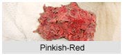 Pinkish Reed